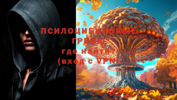 каннабис Абаза
