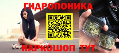 хмурый Новодвинск