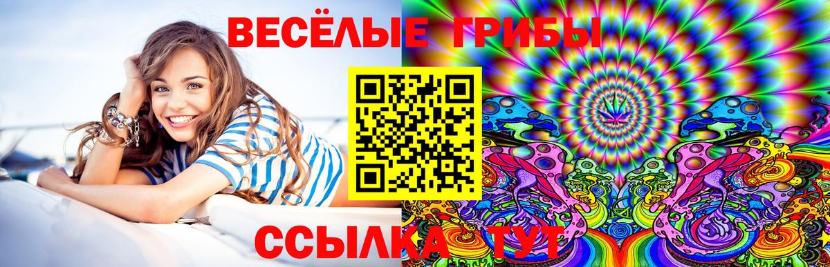 Галлюциногенные грибы Psilocybe Фурманов